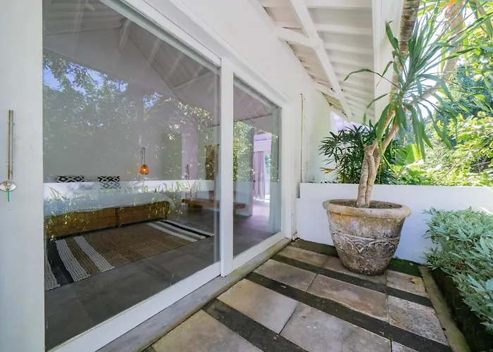 Outsite Bali - Work, Connect, Explore Canggu